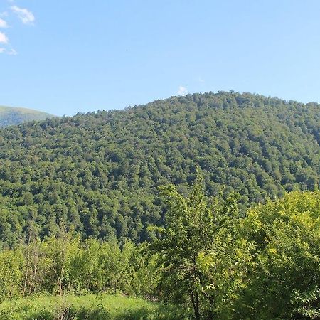 Family & Friends Guest House Dilijan Luaran gambar